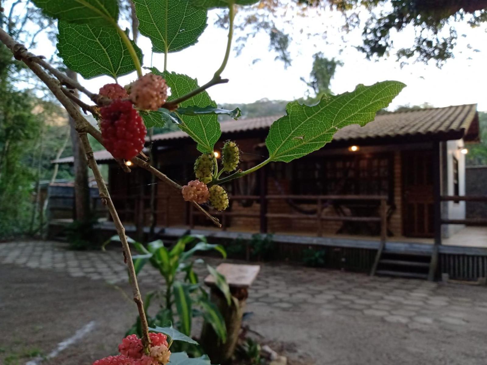 Chale 01 Itaipu Vale Da Colina Holiday home *