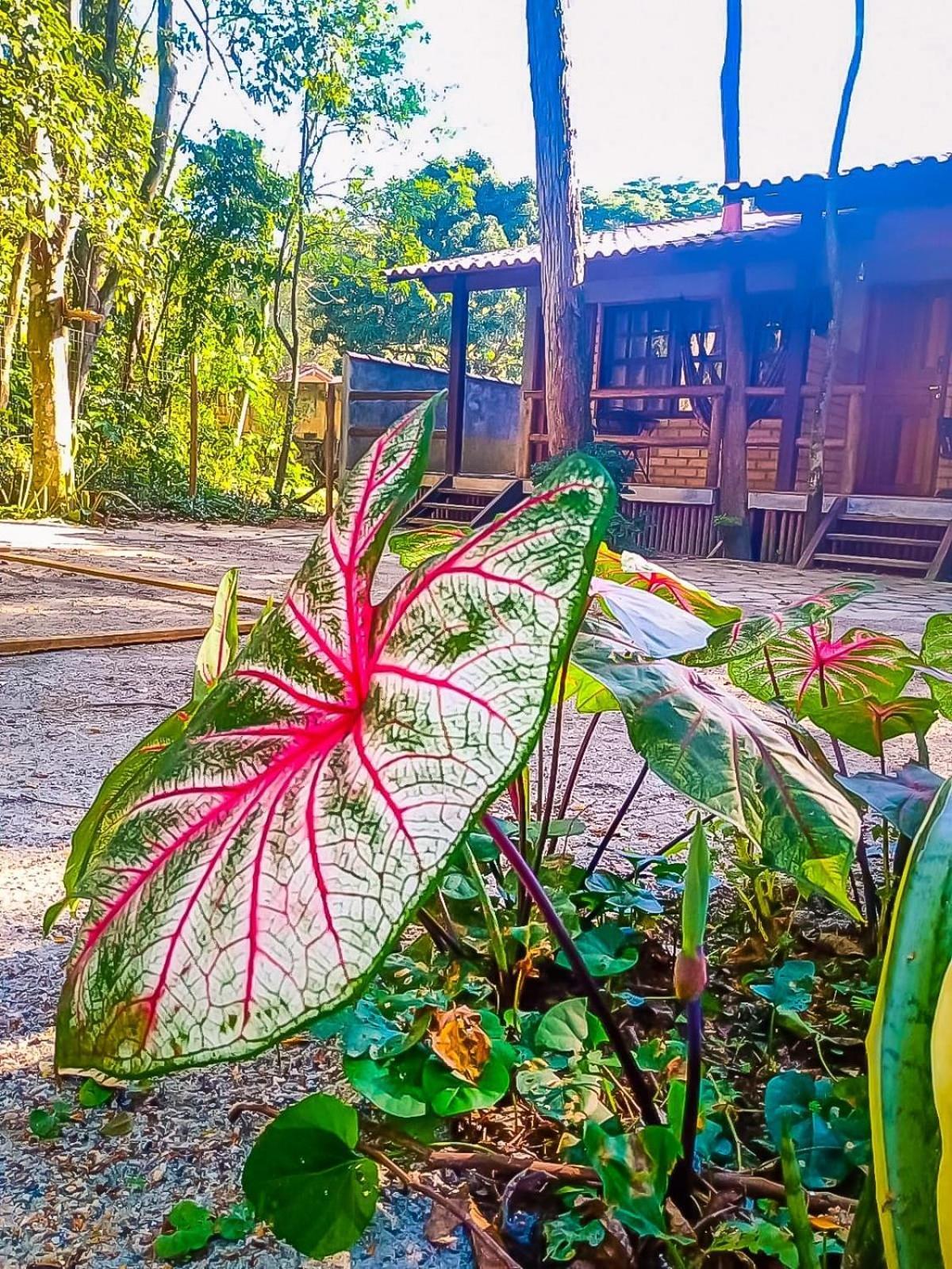 Holiday home Chale 01 Itaipu Vale Da Colina