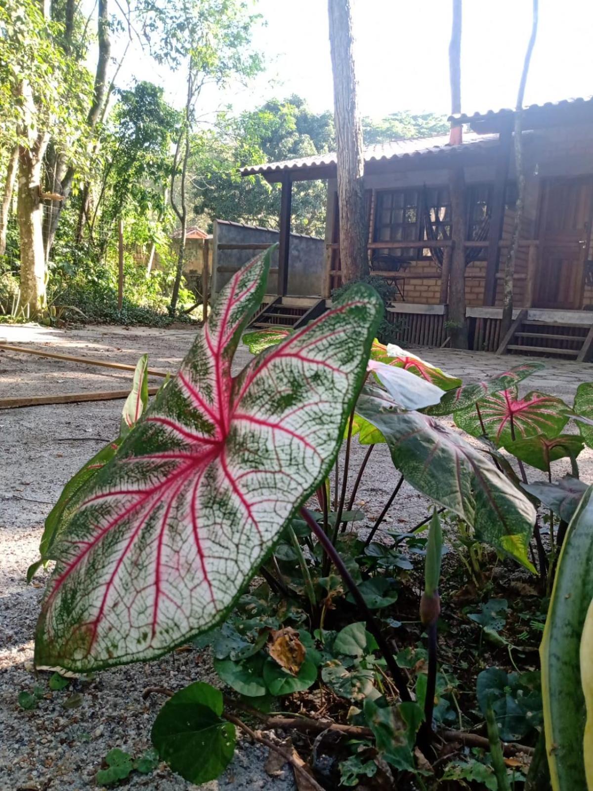 Holiday home Chale 01 Itaipu Vale Da Colina